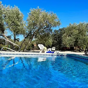 La Mejorana Refugio Andaluz Con Piscina Entre Olivos Сasa de vacaciones