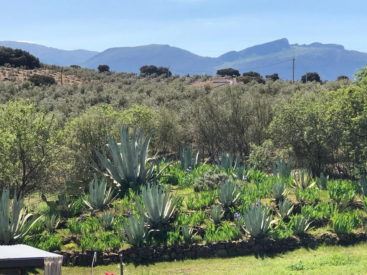 Casa La Alegria 37 Bed & Breakfast Villanueva de Tapia 0*,  Spain