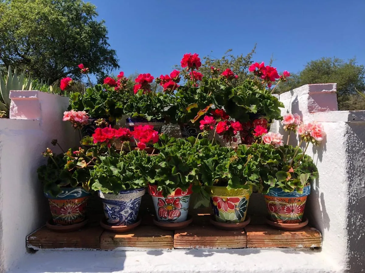 Casa La Alegria 37 Bed & Breakfast Villanueva de Tapia